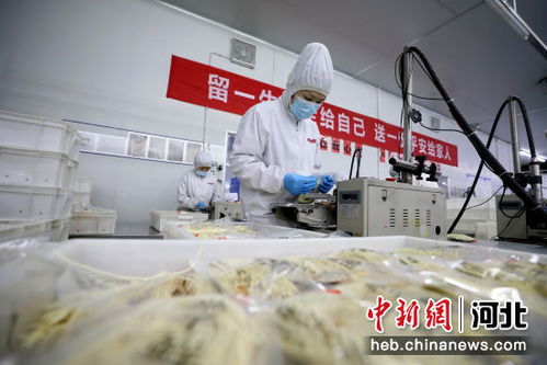 科技赋能产业升级 邢台隆尧探索食品强县新路径