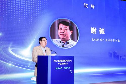 逐梦九天 无限可能 2024卫星互联网技术与产业发展论坛圆满举办